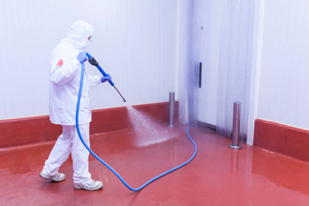 Professional  Pressure Washing Services in East Stroudsburg, PA
